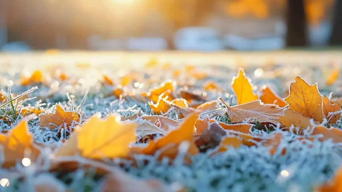  istockphoto