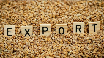 Фотография к новости: Қазақстаннан Қытайға астық экспорты 34%-ға өсті