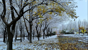 Фотография к новости: 3-5 қазанға арналған ауа райы болжамы: Қар, тұман және көктайғақ күтіледі