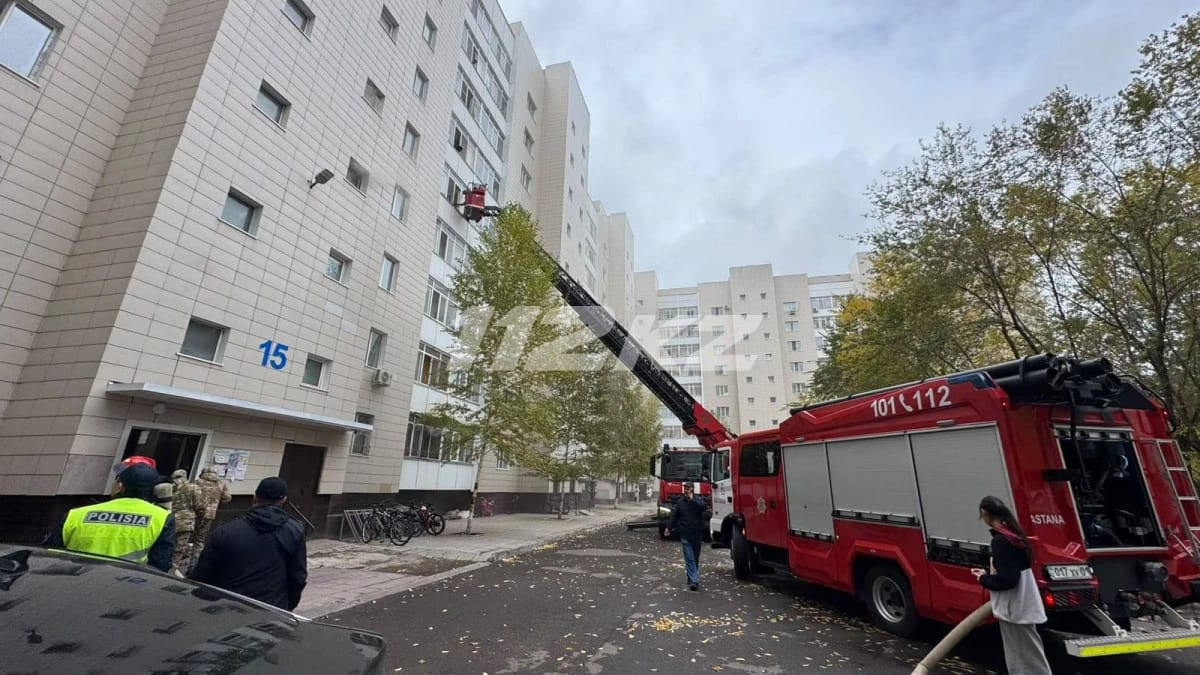  видеодан скриншот