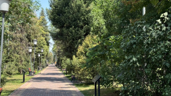 Фотография к новости: Алматының төменгі бөлігіндегі Үлкен Алматы өзенінің жағалауы қашан абаттандырылады?