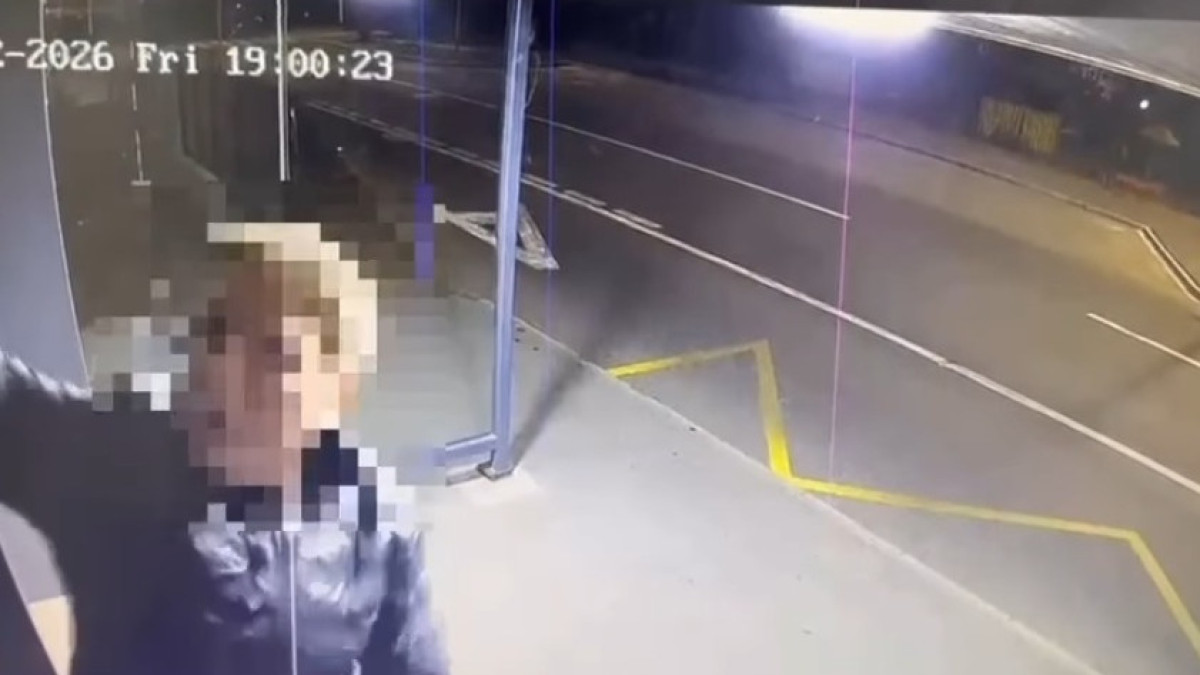  видеодан скриншот