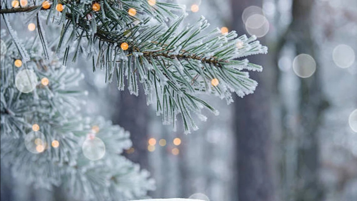  istockphoto.com