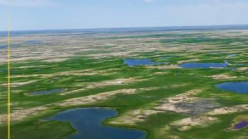 Фотография к новости: Іле-Балқаш өңіріндегі орманды қалпына келтіру тәжірибесі әлемге таныстырылды