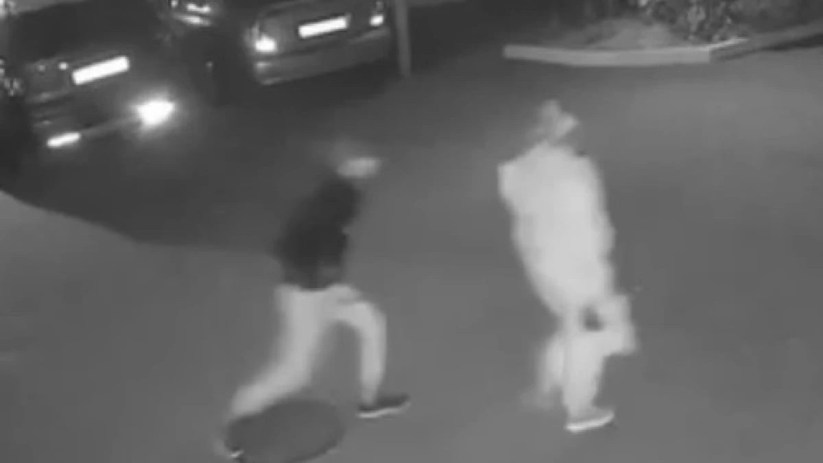  видеодан алынған кадр