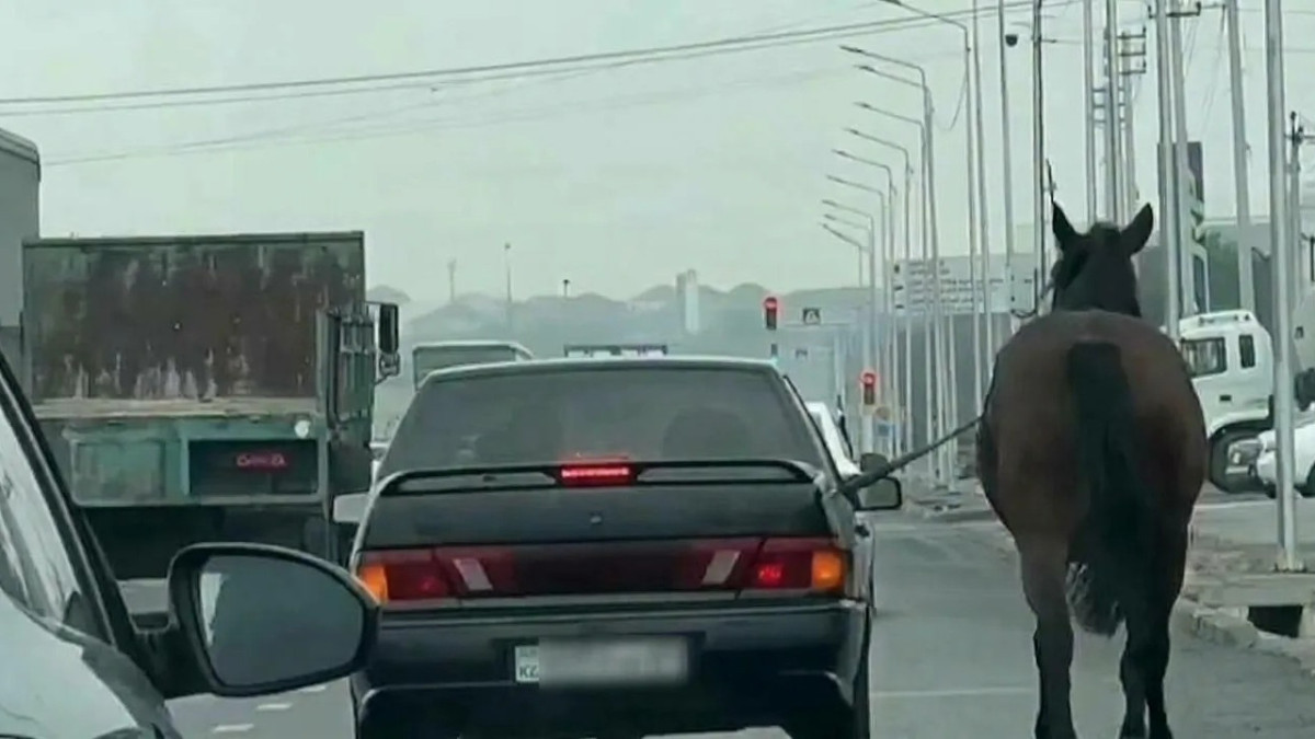  видеодан алынған кадр