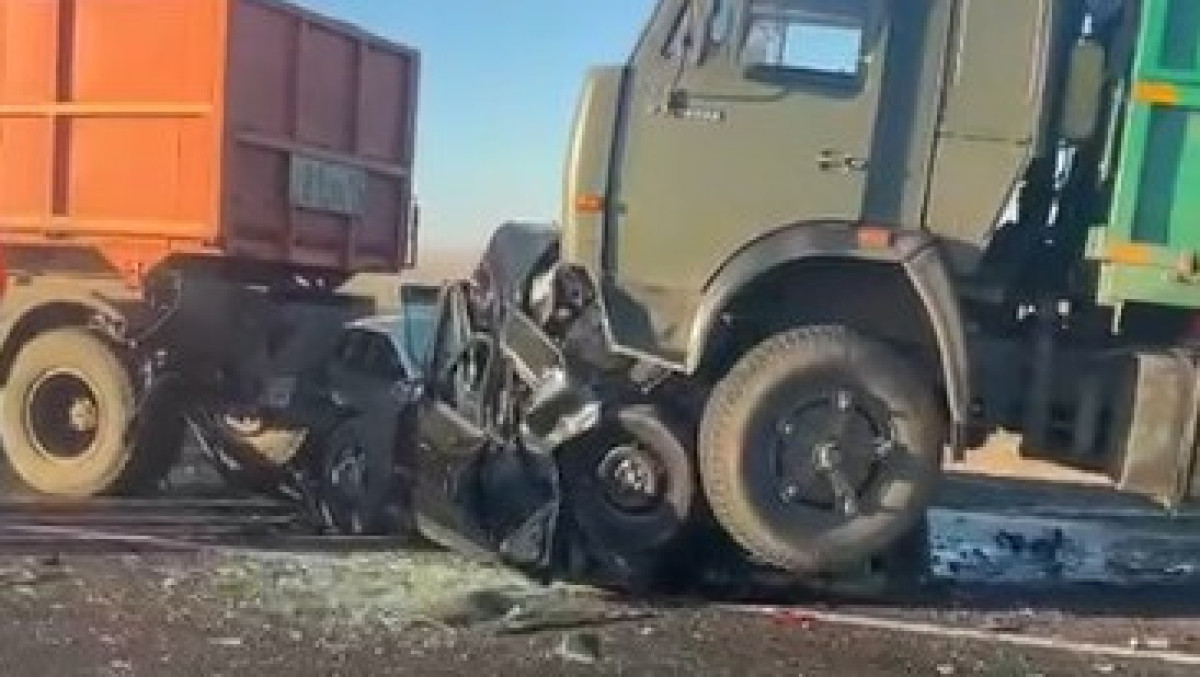  видеодан скриншот