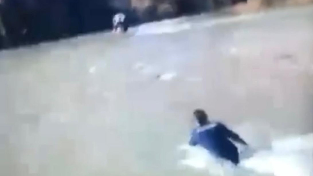  видеодан алынған кадр