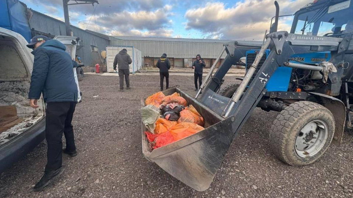  Agropress