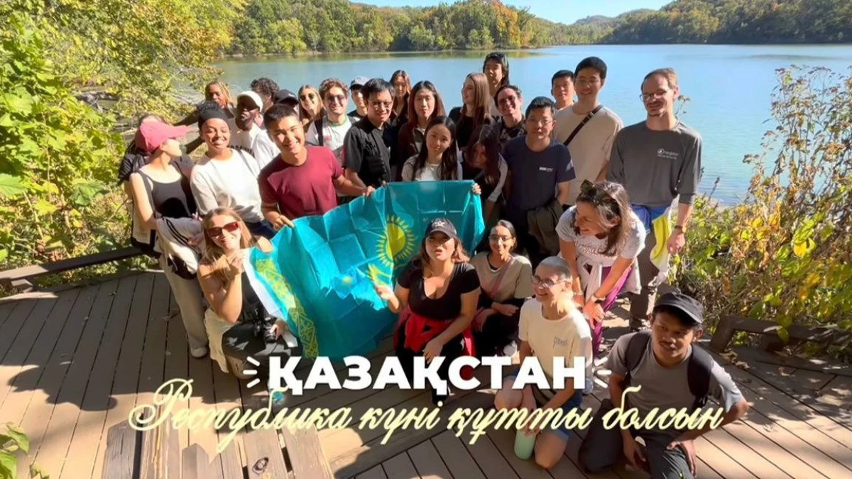  видеодан скриншот