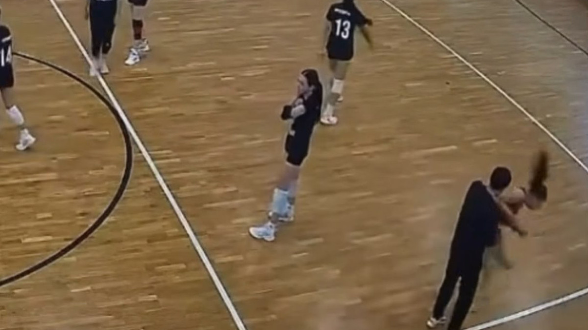  видеодан скриншот