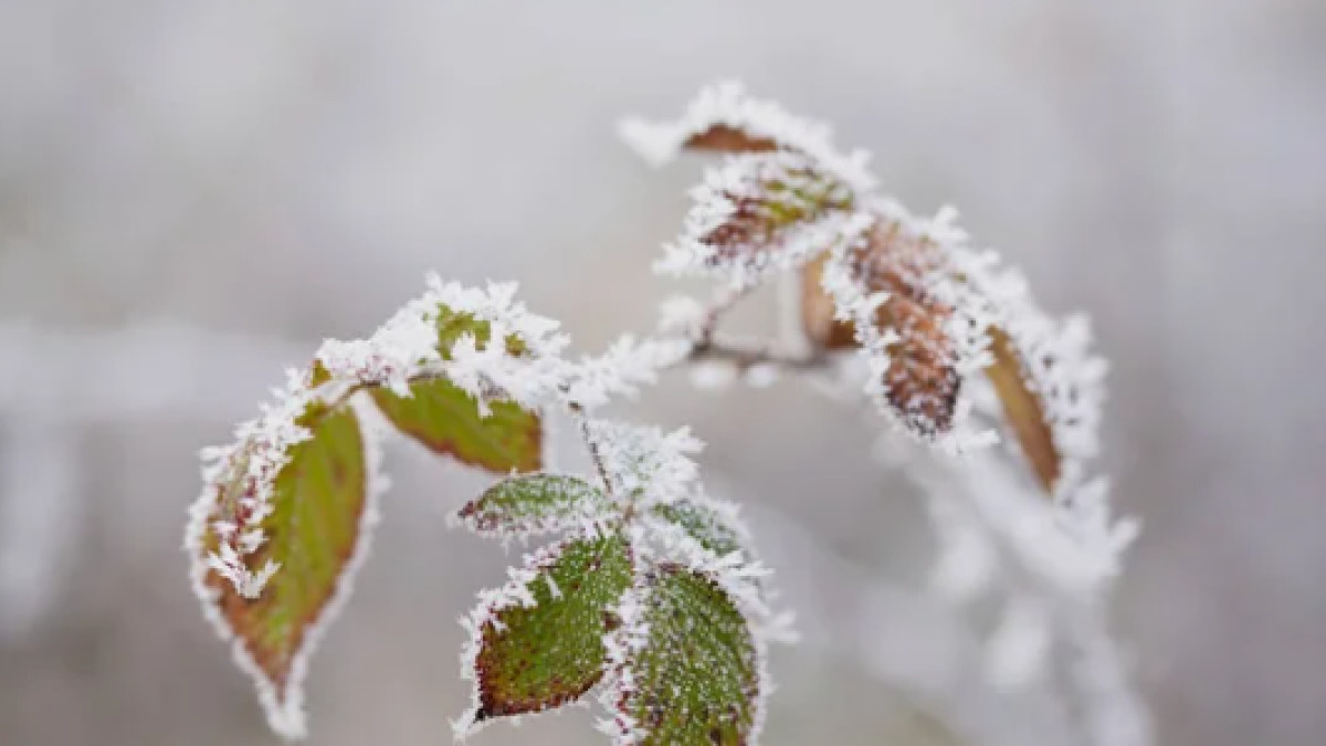  depositphotos.com