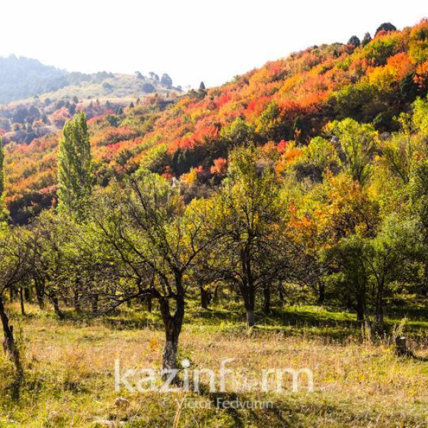 "Что делать, когда делать ничего не хочется" – подкаст о "выгорании"