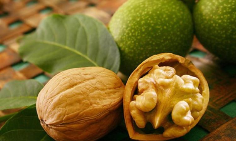 Мастурбация жыныстық қатынасты алмастырды