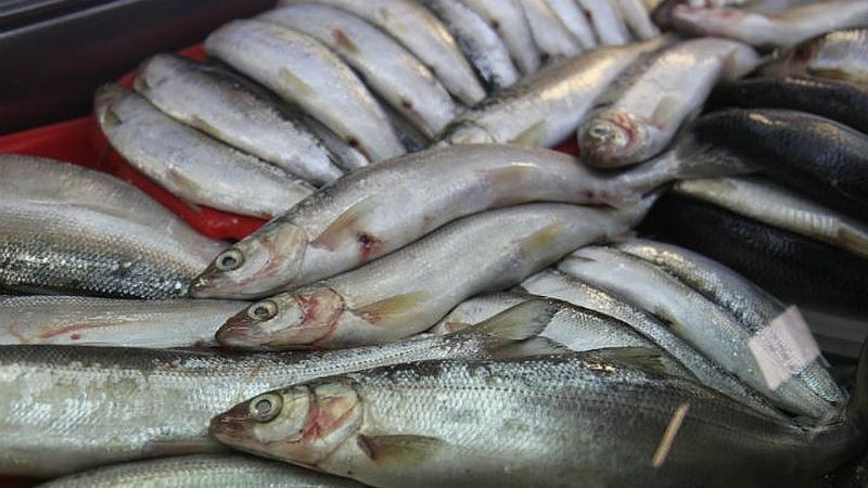 Жалаңаш Стефания Марьяна порносын қараңыз