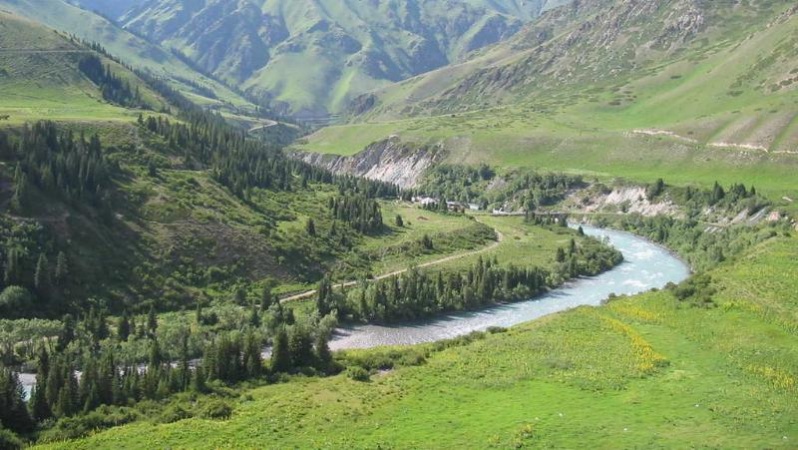 Ол менің бетіме отырды да, мені сорғызды.