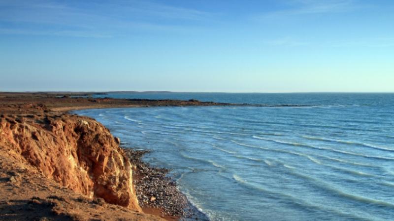 Зои МакЛеллан порно