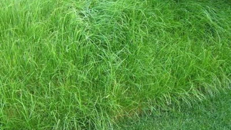 Дана Борисова соңғы батырлардағы порно видео