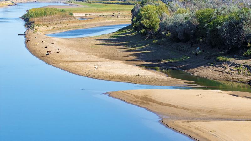 Кішкентай және бос пениса