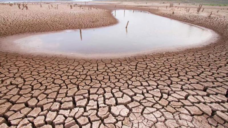 Алдау және телефонмен сөйлесу порно