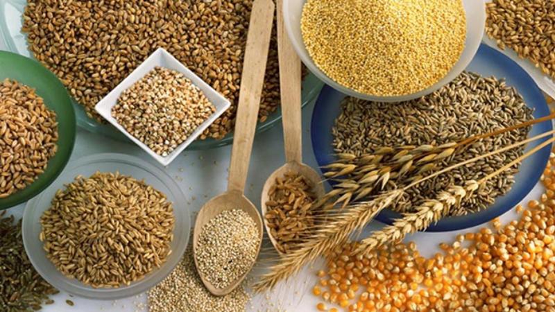 Рокер балапанның порно фотосуреттері