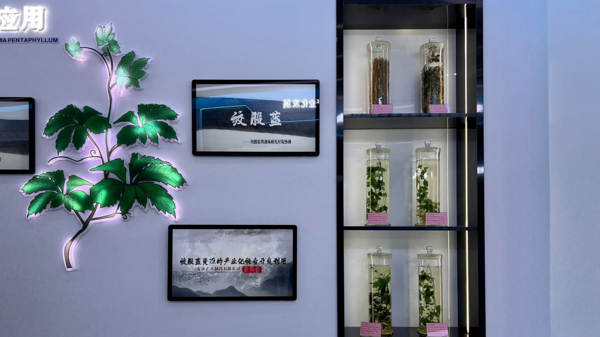 Сперматозоидпен жабылған немқұрайлылықтың суреті