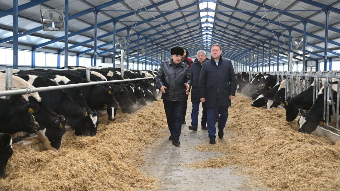 Ауыл фермасындағы мас сауыншылардың суреттері