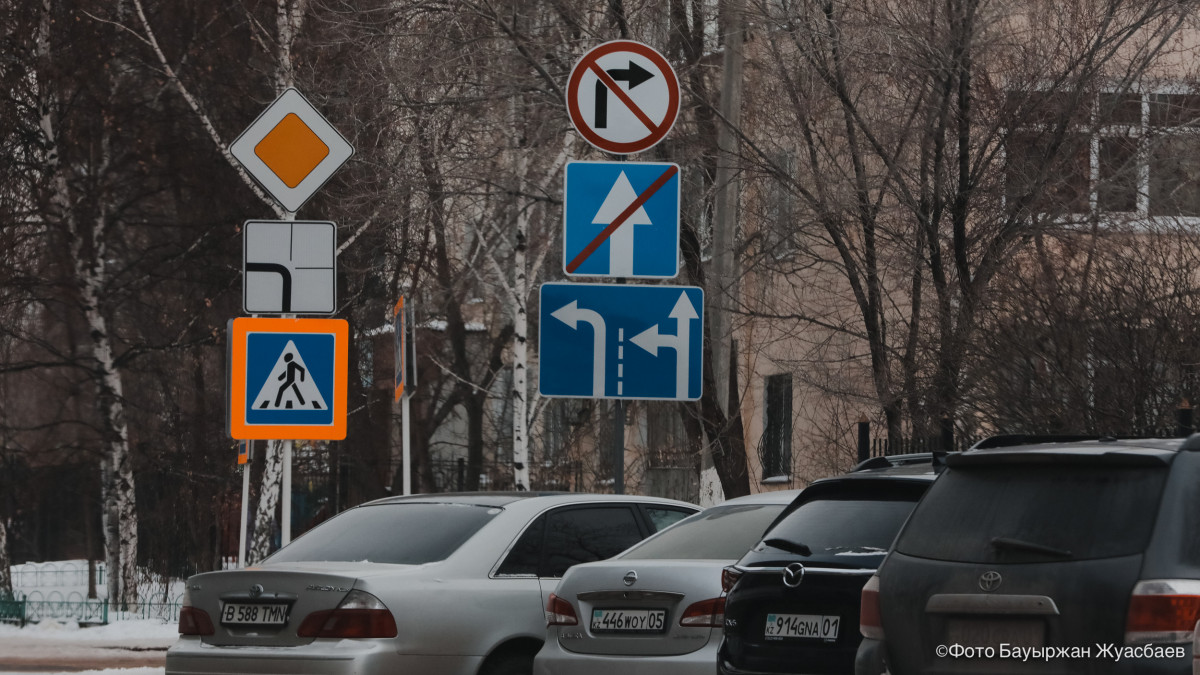 артқы жағынан түкті жамбас