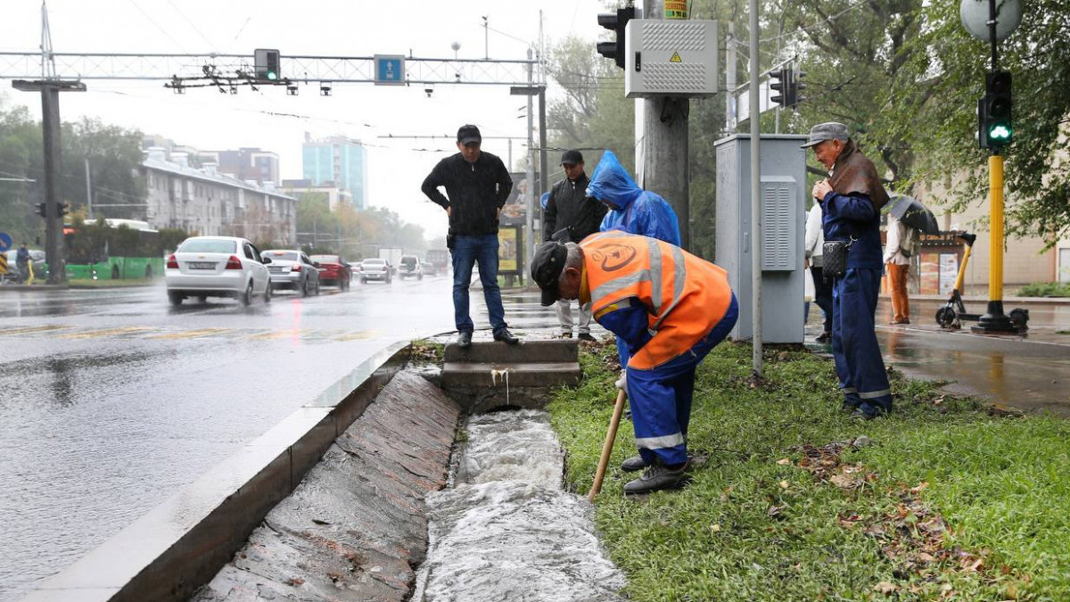 Догги стиліндегі есек пен бөксе