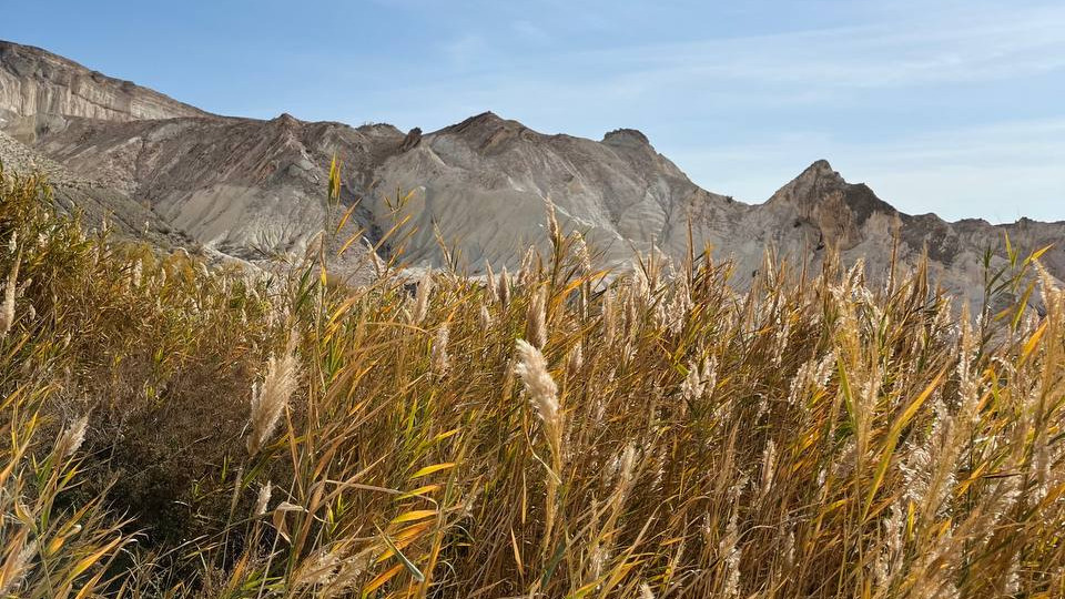 Hd порно соло шұлықтар Рене Росс порно видео