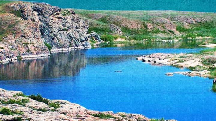 Өзеннің жынысы