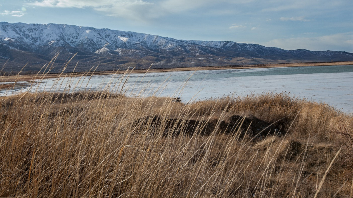 Әйелдердің юбкаларын трусисыз қарап тұрған порно видеолары