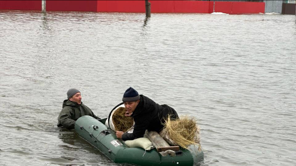 Арық әйел ағып жатыр