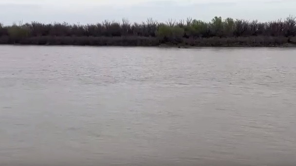 Желідегі достар