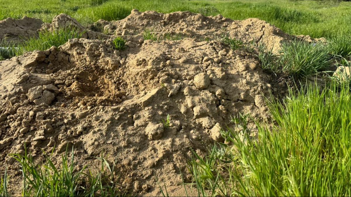 Жасөспірімнің топтық фотосы