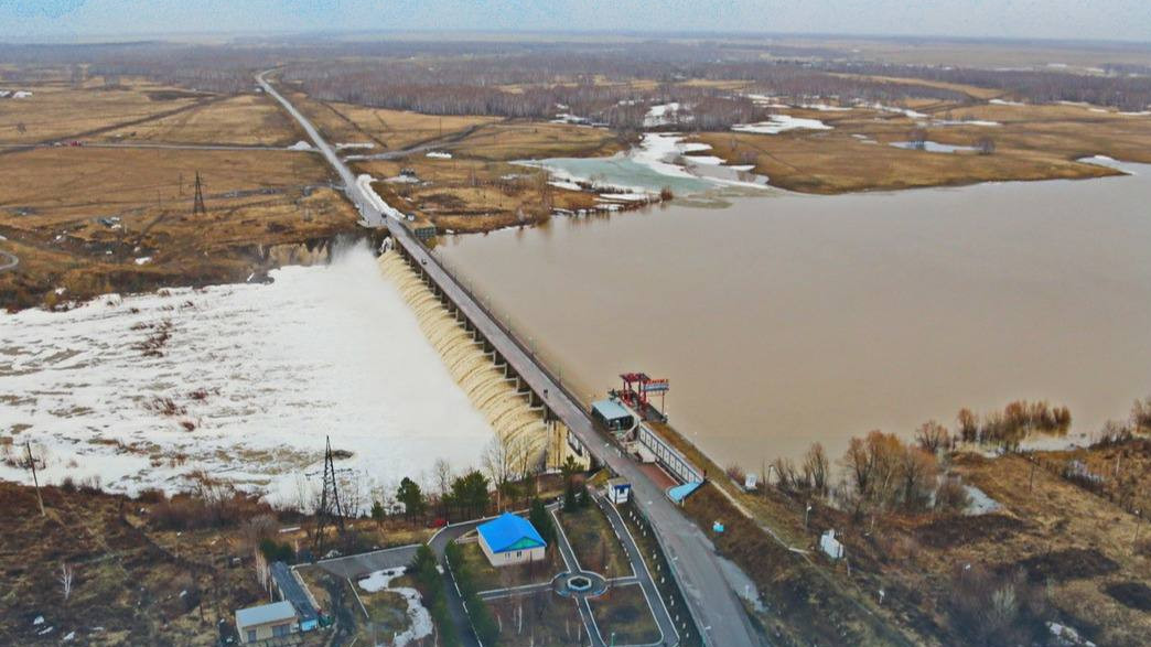 Қисық қырынбаған әйелдердің порносы