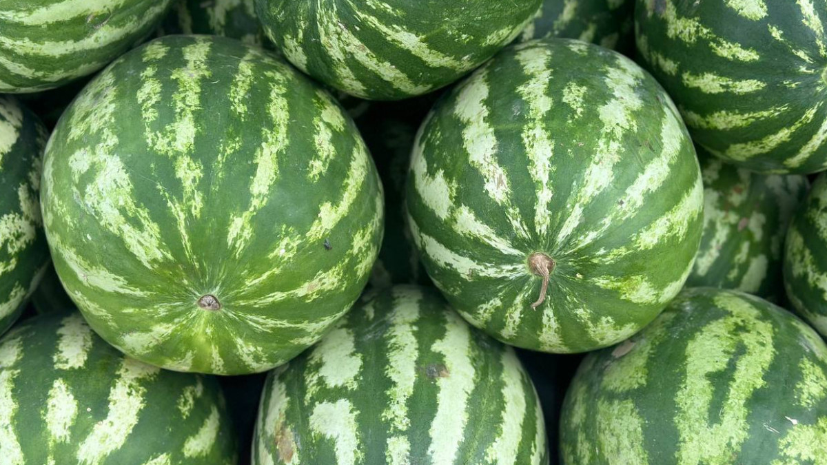 Қызметші қызды жыныстық қатынасқа түсірді