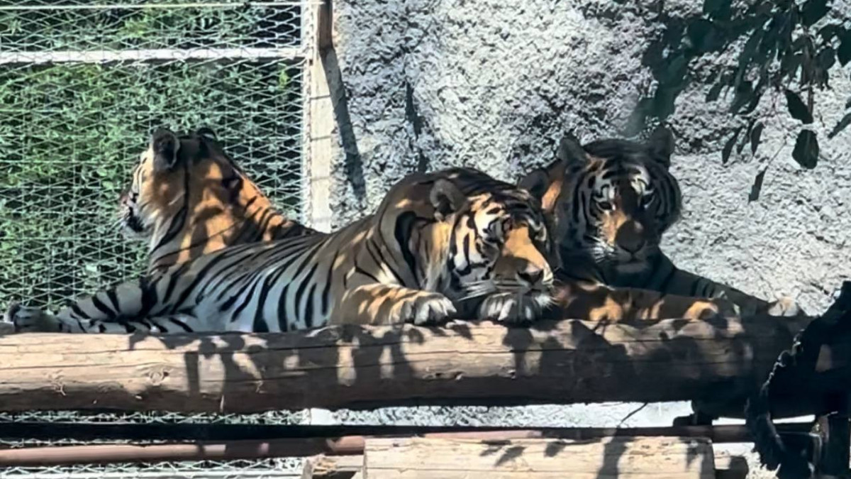 Демалыста нудистер мен натуралистер отбасының суреті