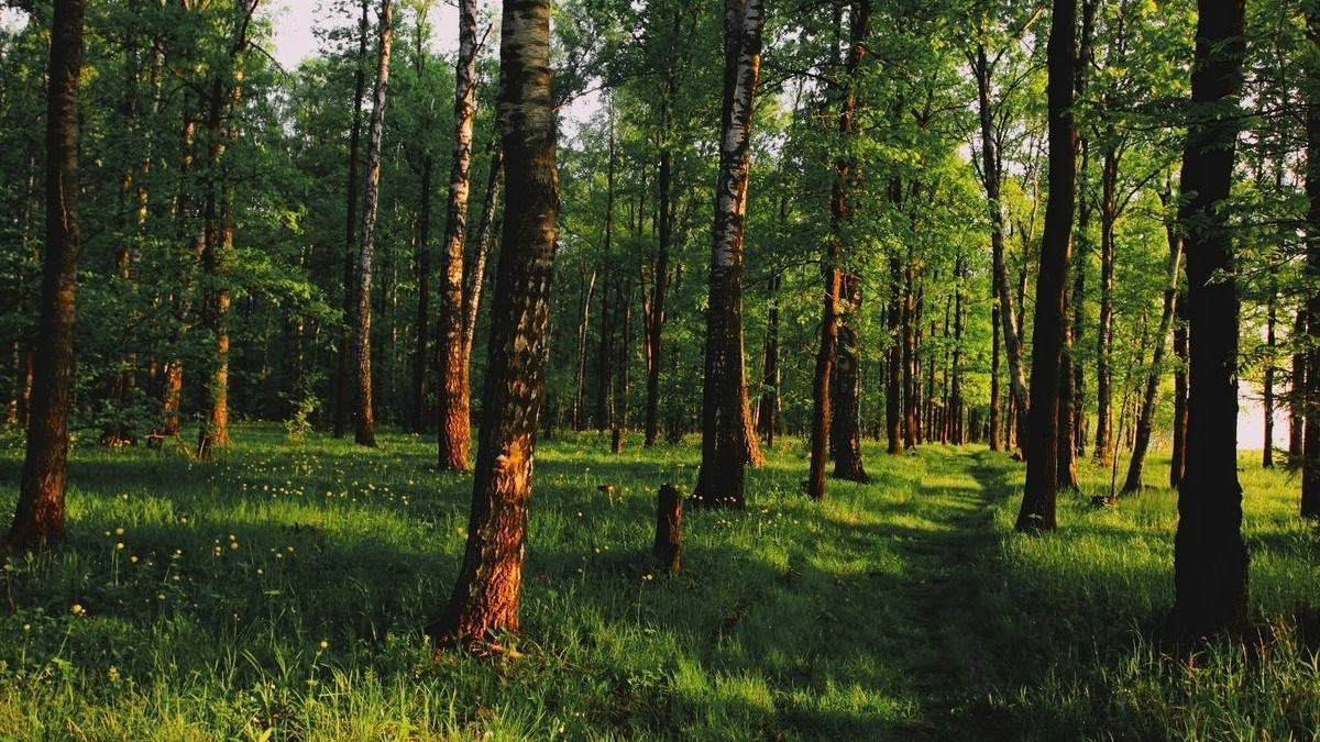 Көпшілікте ұйықтау