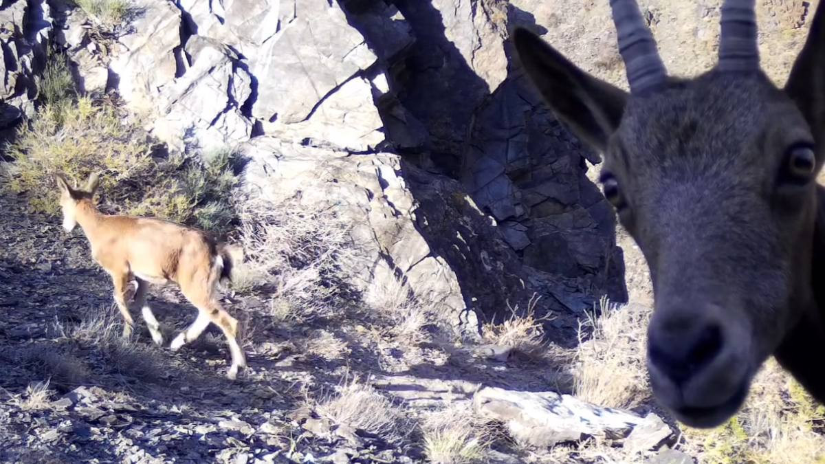 Татуировкасы бар әйелдердің порнофотосуреттері