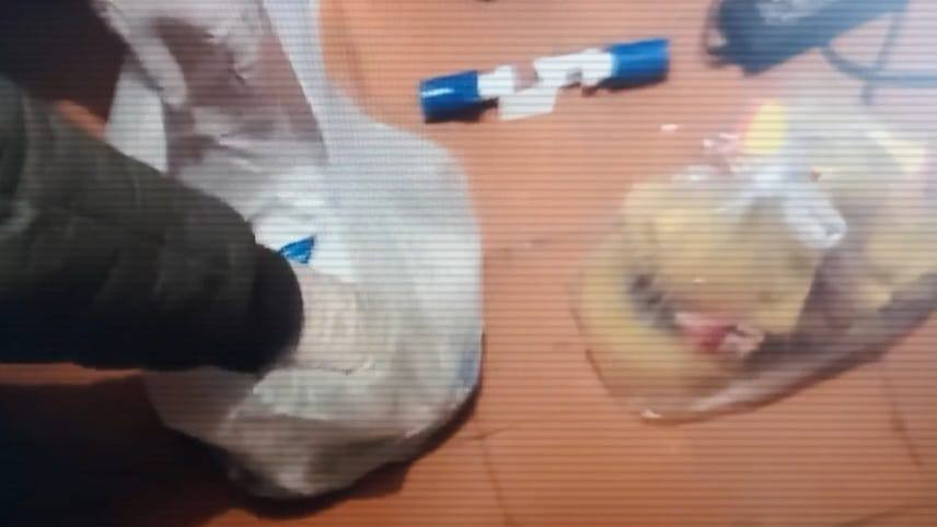 Сакура мен Сасукенің жыныстық қатынасқа түскен суреттері