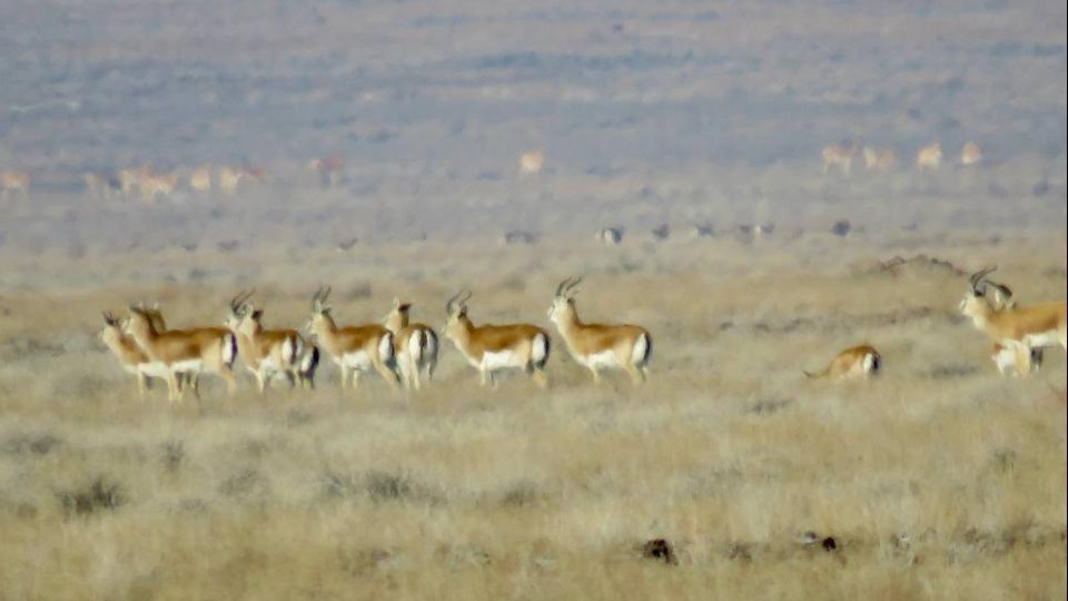 Жапон келіндері қайын атасымен жыныстық қатынасқа түседі Жетілген неміс фистингін онлайн көріңіз