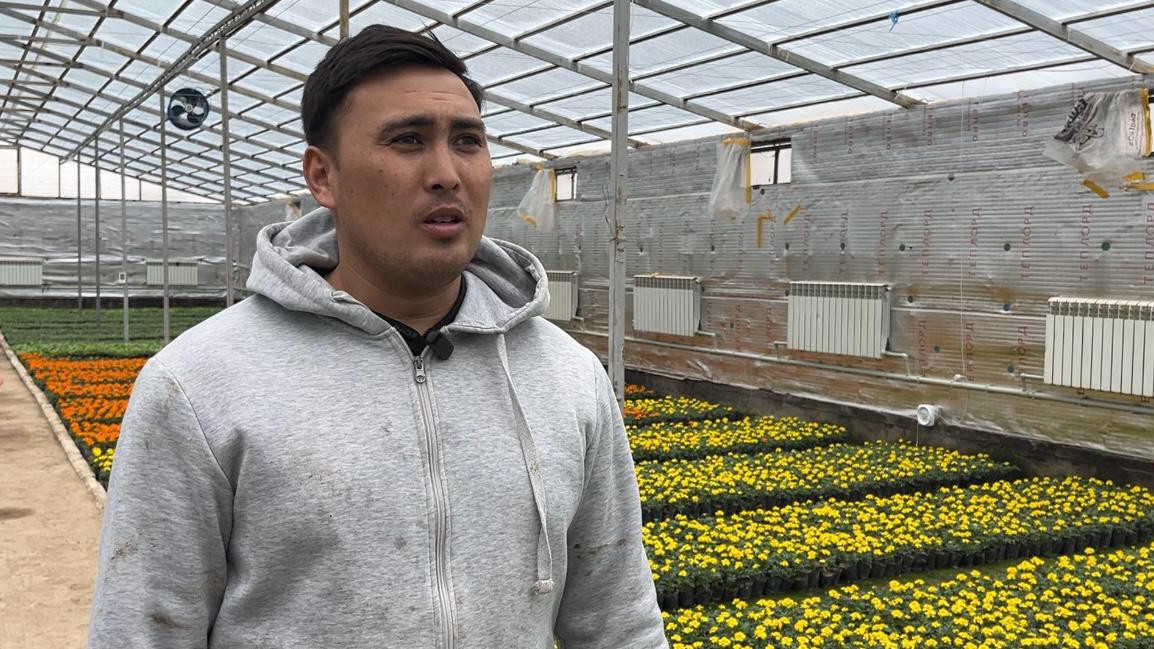 Қара нәсілділер күйеуінің аузына сықылды Колготкидегі жас аналар порно трубка