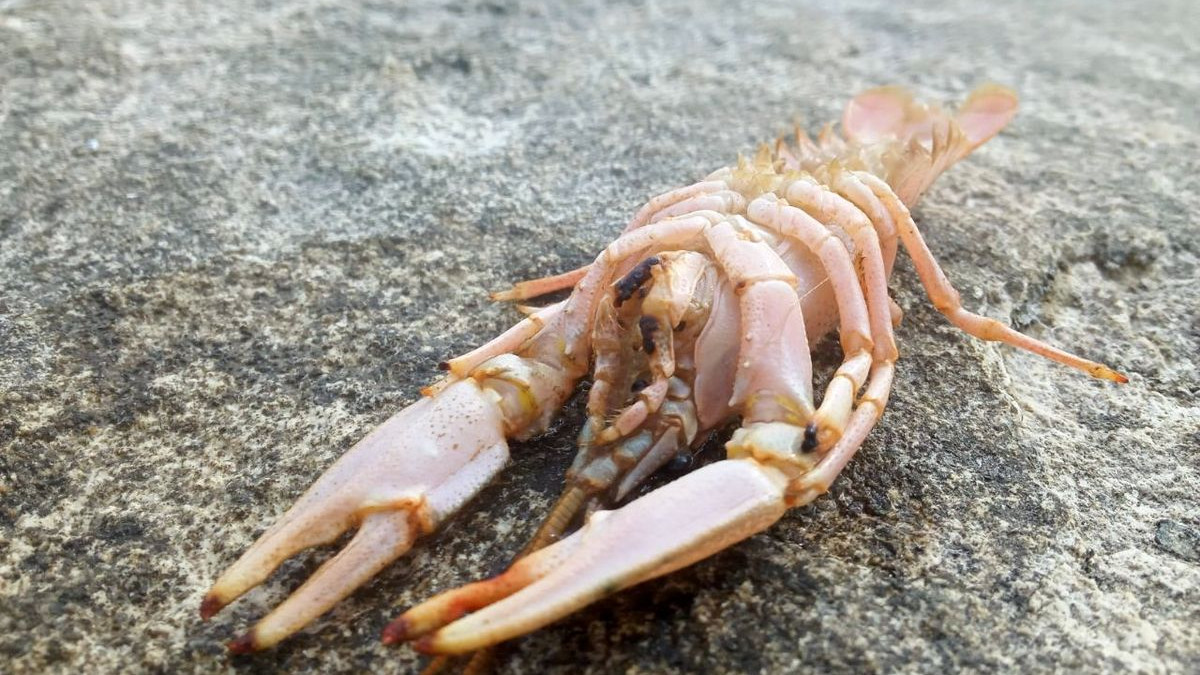 Жігіт анальный секс пассивті кончает