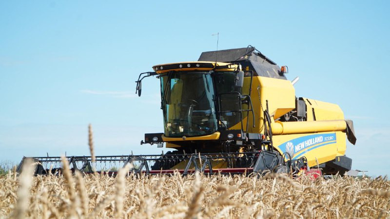 Терең минет және анальды ену Секс қыздар қыздар сүйіседі