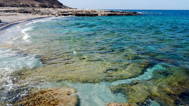 Қисық денелі әйел бейнеленген порно видеолар