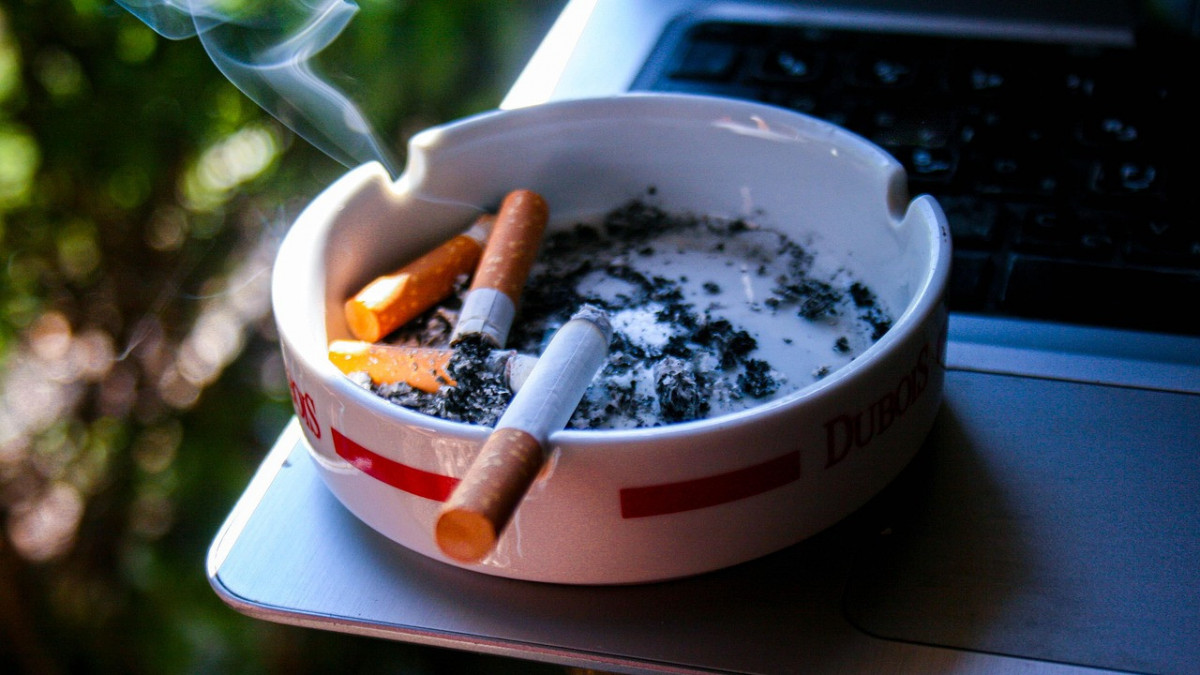 Валентина Рубцова мен Мария Кажевникованың порносы