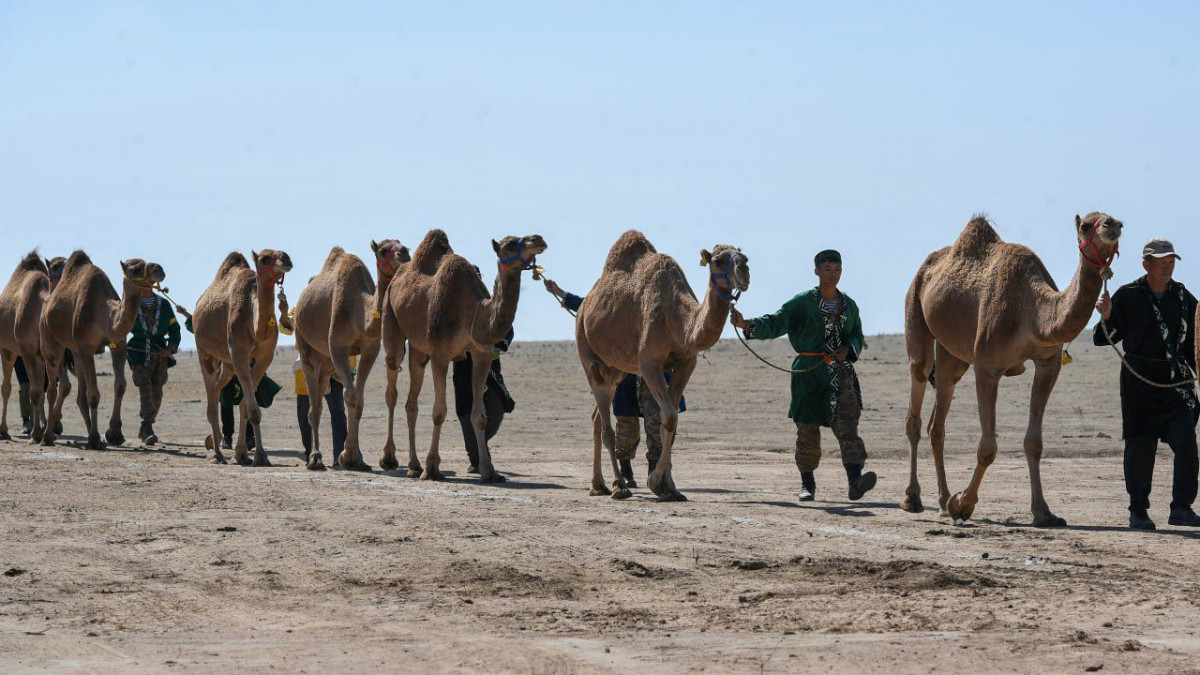 Пирог тақырыбы бойынша порно әңгімелер