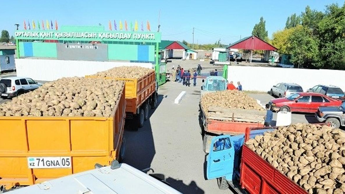 Жалаңаш украиндық жүргізуші