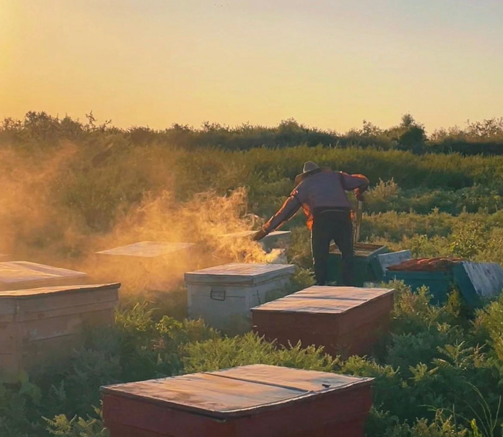 Бір тамшыдан – бір тоннаға дейін: омарташының 5 жылдық жолы